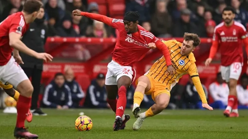 Dự đoán kết quả chính xác Brighton - Nottingham Forest